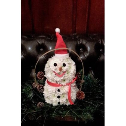 Om de zapada din crizanteme