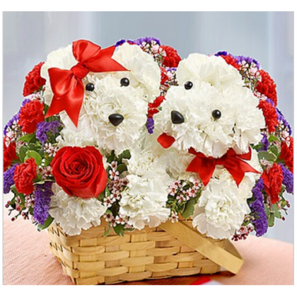 Aranjament floral doi catelusi din flori