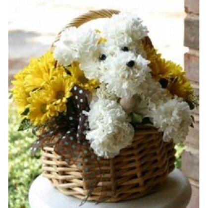 Cos cu un catelus din flori naturale