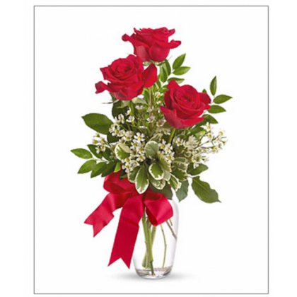 Buchet 3 trandafiri si plante ieftin