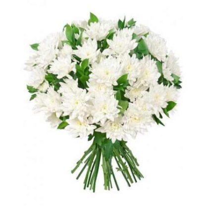 Buchet 15 crizanteme