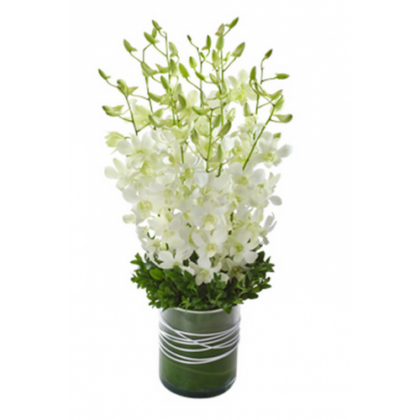 Buchet 11 fire orhidee