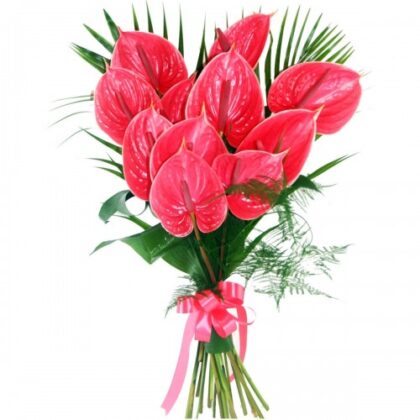 Buchet 11 fire anthurium
