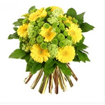 Buchet din 9 fire de iris gerbera