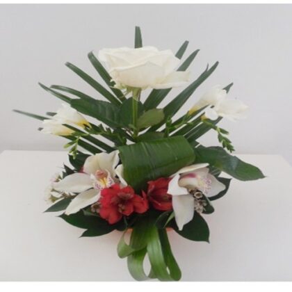 Buchet din 1 fir trandafir 3 fire frezii