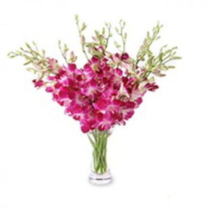 Buchet din 19 fire de orhidee