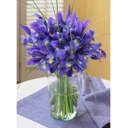 Buchet din 51 fire iris