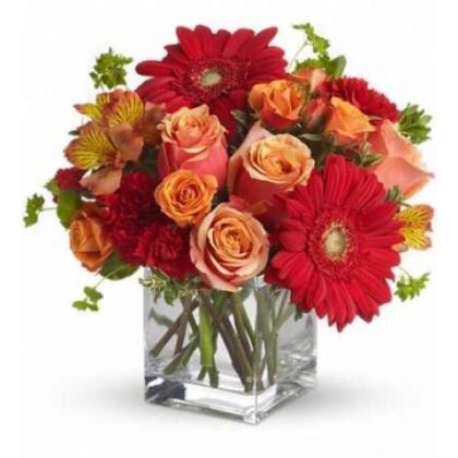 Buchet trandafiri gerbera alstroemeria