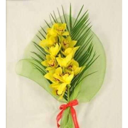 Buchet 1 fir orhidee imperiala si plante