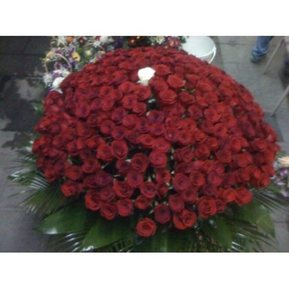 Buchet mare din 301 fire trandafiri