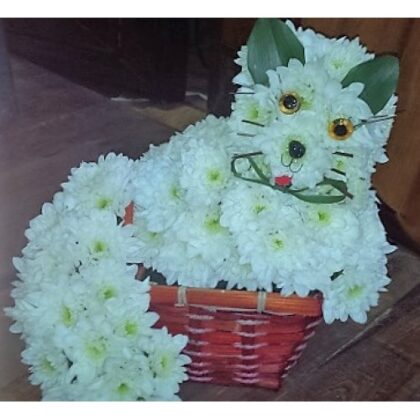 Aranjament in forma de pisica