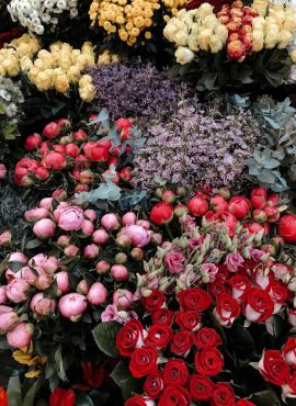 floraria_alecu_22_a (1)