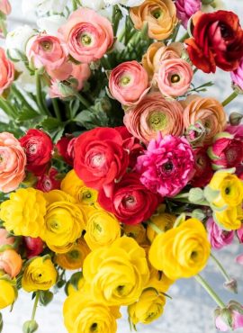 floraria_alecu_22_a (6)