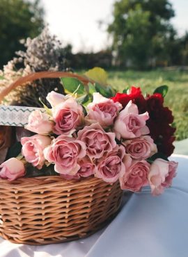 floraria_alecu_22_a (8)